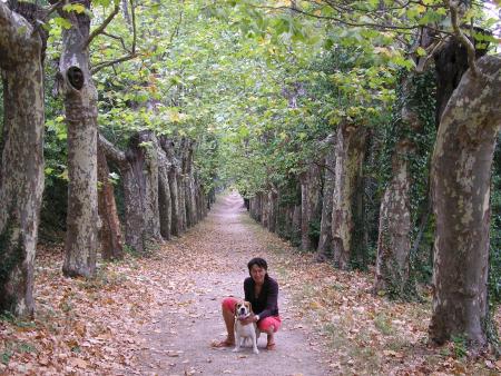 Jacqueline  et Rustic